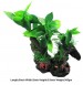 Plant On Rock